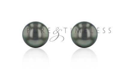 Oorknopjes zwarte Tahiti parels 12-12.5 mm witgoud