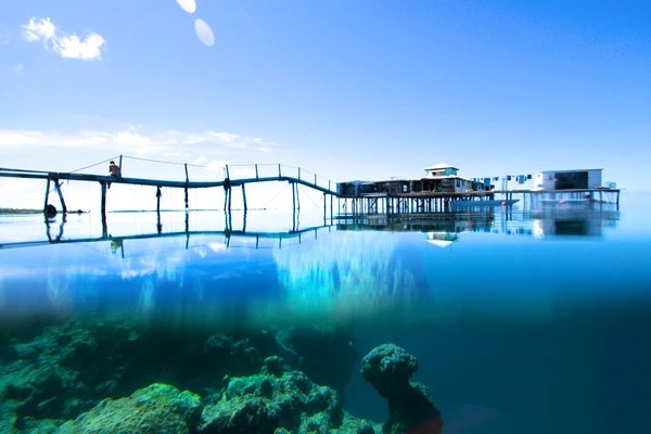 parel kwekerij in frans polynesië